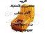سبد حمل مرغ زنده