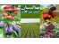 ضد یخ طبیعی NPA،