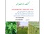 قرارداد کشت و زراعت یونجه