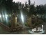 2700 متر باغ ویلای لوکس در شهریار (جنب میدان نماز)