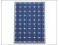 پنل خورشیدی yingli