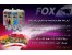 جوهر فوکس ( FOX ) بهترین جوهر پرینتر و پلاتر