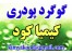 گوگرد پودری کشاورزی