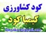 خانه کود