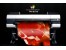 فروش پلاتر کانن , ipf8000s , ipf710 , ipf8300