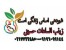 تعیین جنسیت قبل از بارداری در تهران