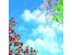 آسمان مجازی