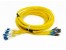 فروش distribution Patch Cord