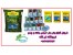 فروش انواع بذر چمن امریکایی هلندی - تی تاک