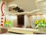 Ario decor