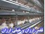 فروش قفس ارزان مرغ و بلدرچین