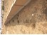 فروش زمین صنعتی