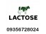 فروش لاکتوز (LACTOSE)
