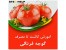 اپلیکیشن آموزش چندرسانه ای کاشت تا مصرف گوجه فرنگی