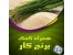 همراه کمک برنج کار | برنامه آموزش زراعت برنج در موبایل