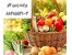 پرلیت و کشاورزی Perlite