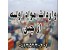 واردات مواد اولیه از چین