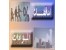 مناقصات مصر