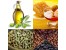 پخش مواد غذایی مقدم