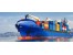 ترخیص کار گمرکی - ترخیص کالا از گمرک - ترخیص خودرو از گمرک