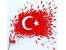 تدریس خصوصی ترکی استانبولی