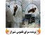 دو عدد سهره خِر سفید (دهن زن)
