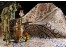 تحول در فرش ماشینی ( فرش مرداس )