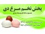 پخش تخم مرغ دی