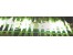 فلاکس مایع/ گاز فلاکس Green Flame Liquid Flux