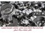 Nickel نیکل اینکونل مونل هستلوی اینکولوی نایمونیک تیتانیوم خرید فروش ضایعات قراضه صنعتی