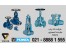 نمایندگی انحصاری شیرآلات صنعتی آلمان دروازه ای یکطرفه کروی gate valve check valve globle persta