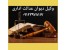 وکیل پایه یک دیوان عدالت اداری