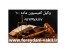 وکیل کمیسیون ماده صد شهرداری