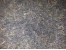 نمایندگی انحصاری چای سرچشمه لاهیجان ایرانی