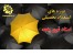 دوره استعداد تحصیلی ویژه آزمون دکتری