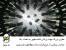 فروش دستگاه پرکن مرغ،اتوماتیک با کاربری آسان