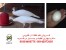 تخم نطفه دار طـــــــاووس، سالم و مرغوب