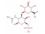 عرضه کندرویتین سولفات Chondroitin Sulfate