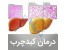 دمنوش گیاهان درمانی