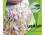 طرح توجیهی گلخانه
