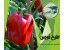 طرح توجیهی گلخانه فلفل دلمه ای