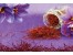 فروش زعفران (نگین ،سرگل ممتاز،پوشال،دسته و ...)
