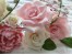 آموزش گلهای شکری کیک