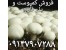 فروش بهترین نوع کمپوست قارچ، خاک پوششی قارچ و مرغوب ترین نوع بذر قارچ و کلیه خدمات پرورش قارچ خوراکی