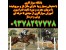 آموزش سوارکاری در کرج و تهران 09378297778
