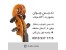 آموزش خصوصی ویولن در کرج