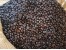 هات چاکلت محصولات BLACK CHERRY