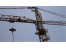 فروش تاور کرین - جرثقیل برجی -12تن - f329