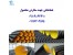 لوله کاروگیت