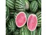 بذر هندوانه -Watermelon seed